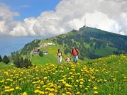 Rigi