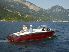 POHO Lakeside Center, Weggis