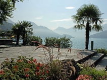 Lüthy Bödeli, Weggis
