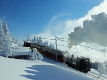 Rigi Bahnen