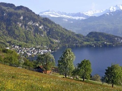 Vitznau