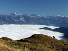 Rigi