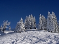 Winterbild Ergglen