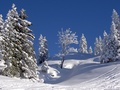 Winterlandschaft
