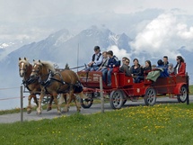 Pferdekutsche Rigi Kaltbad