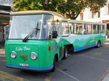 Lidobus, Weggis