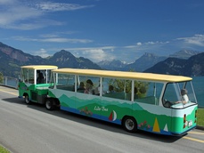 Lidobus, Weggis