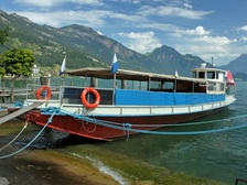 Nauen Max, Weggis