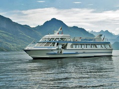 Seebär, Vitznau