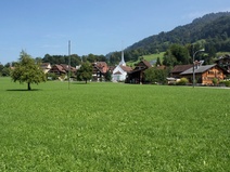 Greppen