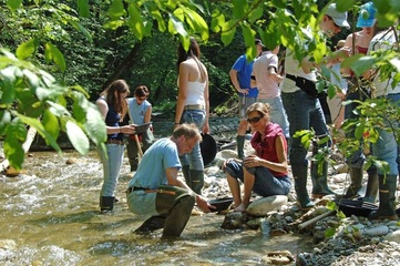 Goldwaschen Region Willisau