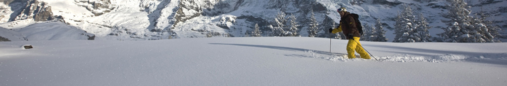 L’univers des découvertes hivernales