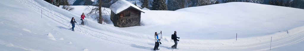 Offres hivernales Offres hivernales