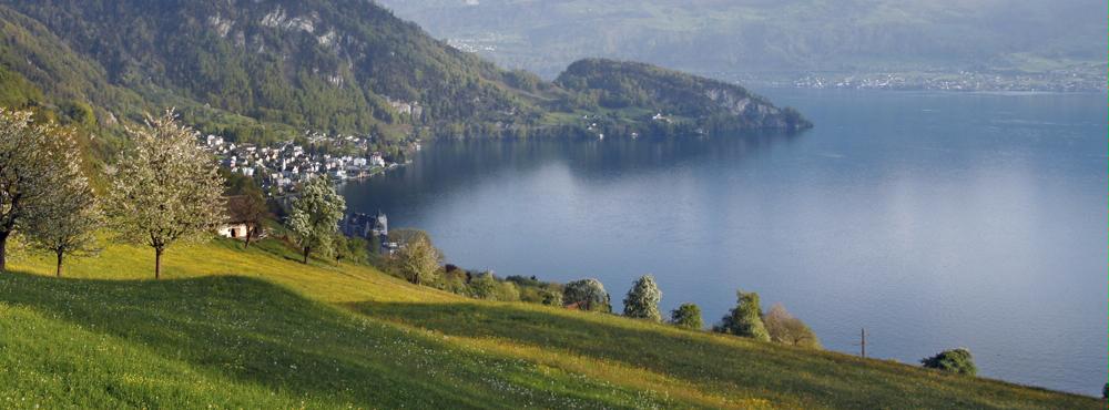 Vitznau