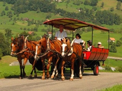 Kutsche, Weggis