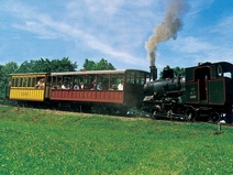 Nostalgie Wagen Nr. 35, Rigi Bahnen
