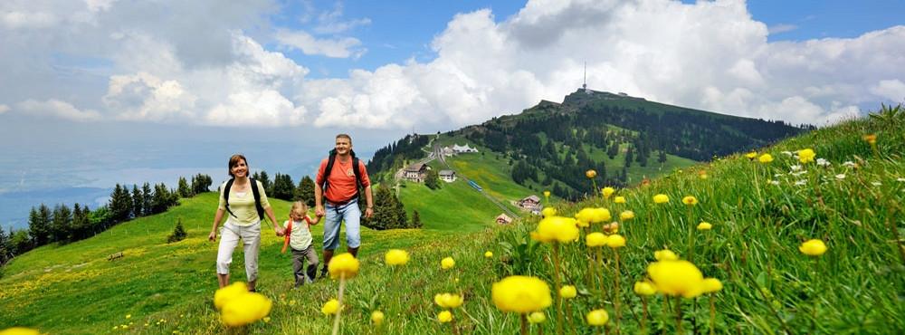 Rigi Rigi
