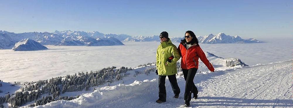 Rigi Rigi
