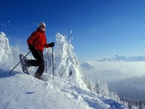 Schneeschuhlaufen auf der Rigi