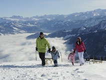 Rigi