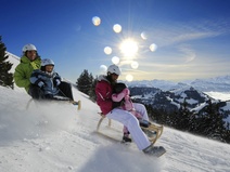 Schlitteln auf der Rigi