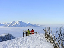Rigi