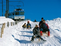 Schlitteln auf der Rigi
