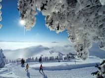 Winterwandern, Rigi