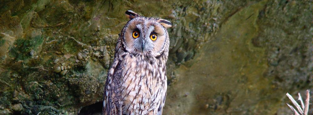 Tierpark Goldau