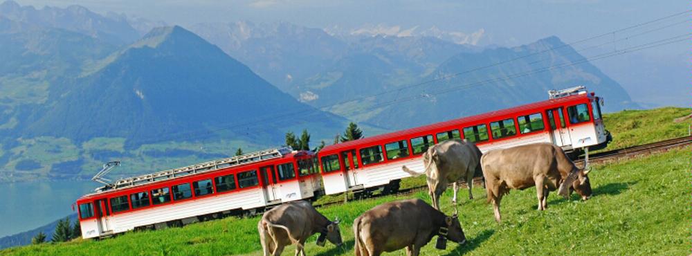 Zahnradbahn Vitznau - Rigi