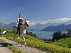 Reiten, Weggis