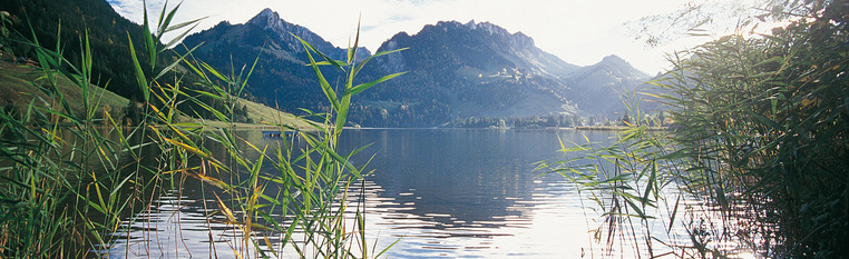 Schwarzsee