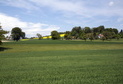 Pierrafortscha
