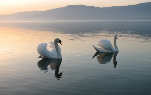 Estavayer-le-Lac