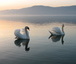 Estavayer-le-Lac