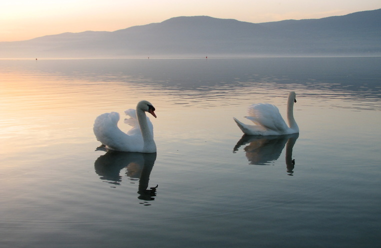 Relaxation and Romance