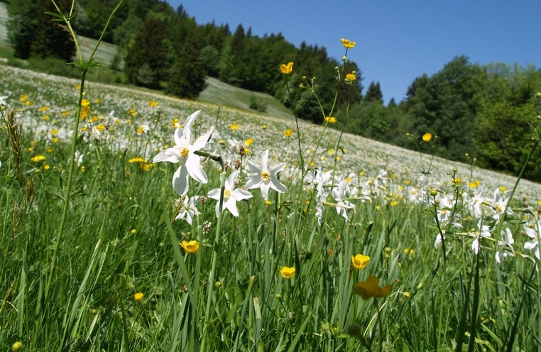 Unspoiled environment