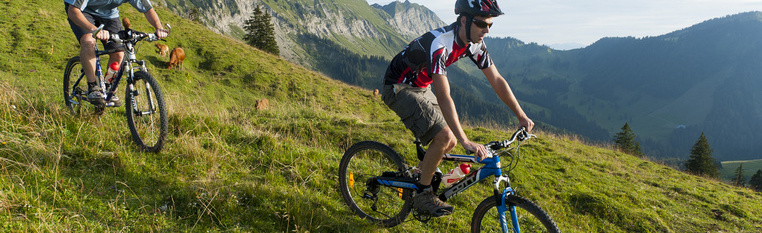 Sports panoramiques