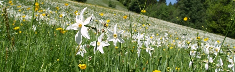 Nature intacte