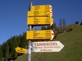 Wegweiser