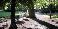 Pärke & Wälder
