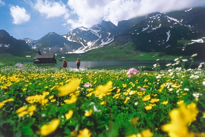 Bergfrühling auf Melchsee-Frutt