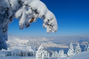Wintermärchen auf Klewenalp-Stockhütte