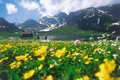 Bergfrühling auf Melchsee-Frutt