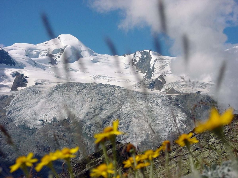 Sommer Landschaft