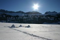 Älggialp