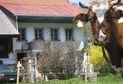 Montbovon