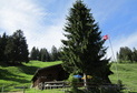 La Roche