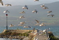 Estavayer-le-Lac © Estavayer-le-Lac/Payerne Tourisme
