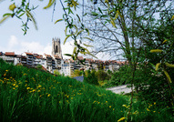 Fribourg © Thierry Pradervand